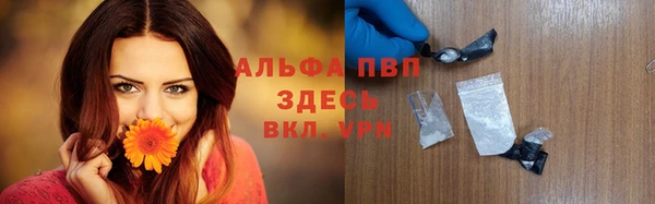 винт Алексин