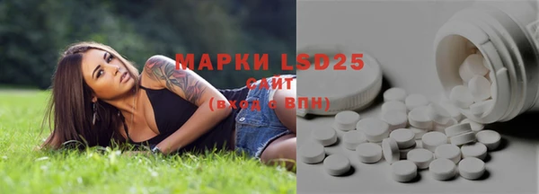 ПСИЛОЦИБИНОВЫЕ ГРИБЫ Алзамай
