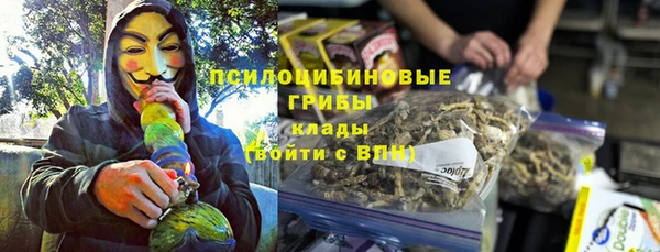 винт Алексин
