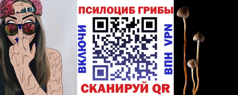Псилоцибиновые грибы прущие грибы Алупка